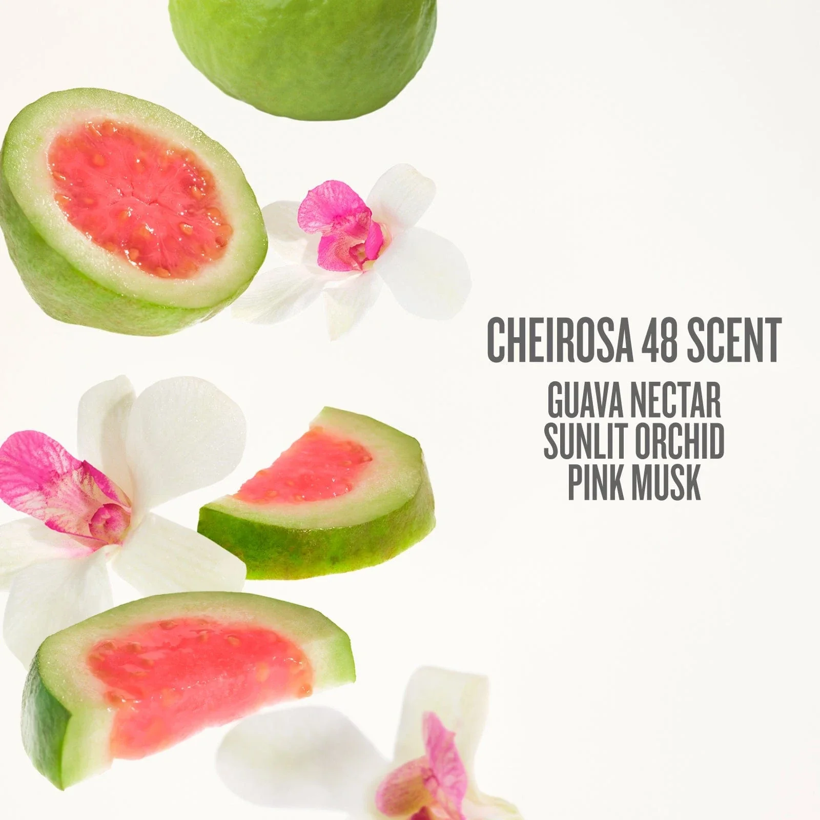 Brazilian Crush 48 - Image 3